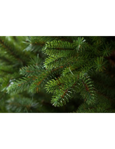 Sayra luksuslik 100% PE