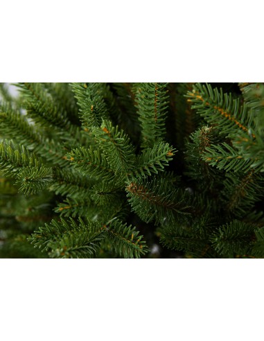 Sayra Prestige kuusk