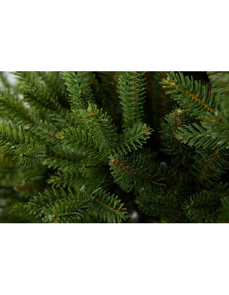 Svērt Sayra Prestige