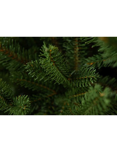 Svērt Sayra Prestige