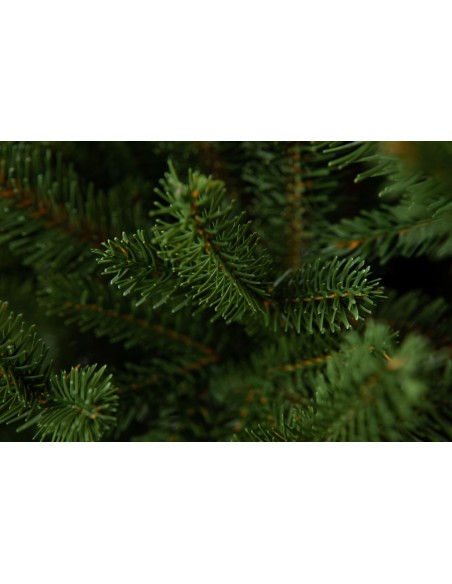 Sayra Prestige kuusk