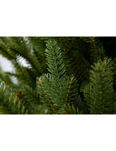 Sayra Prestige kuusk