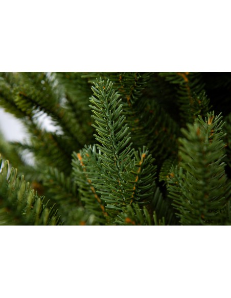 Svērt Sayra Prestige