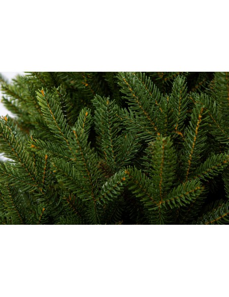 Svērt Sayra Prestige