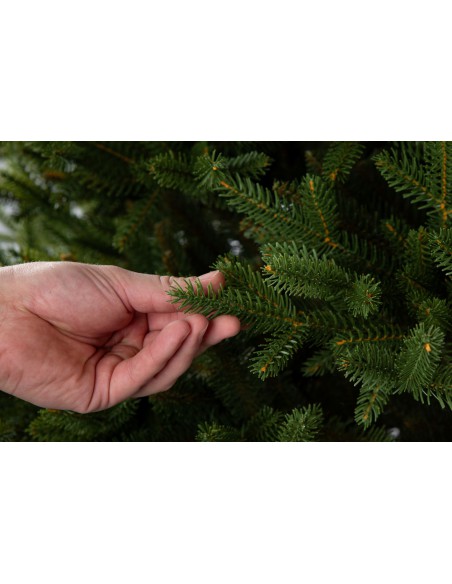 Sayra Prestige kuusk