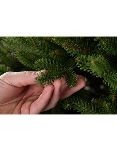 Sayra Prestige kuusk