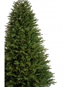 Svērt Sayra Prestige 2