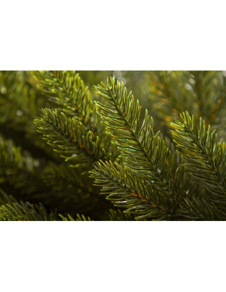 Pärg Kuusk Bonali 100% PE