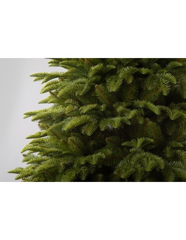 Antares Prestige LED egles