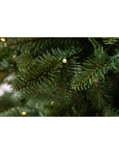 Antares Prestige LED kuusk