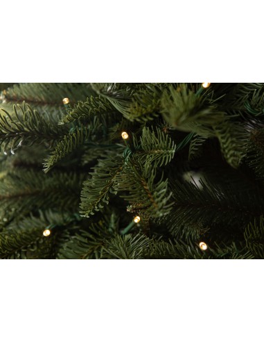 Antares Prestige LED egles