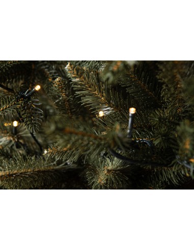 Bonali Prestige LED egles