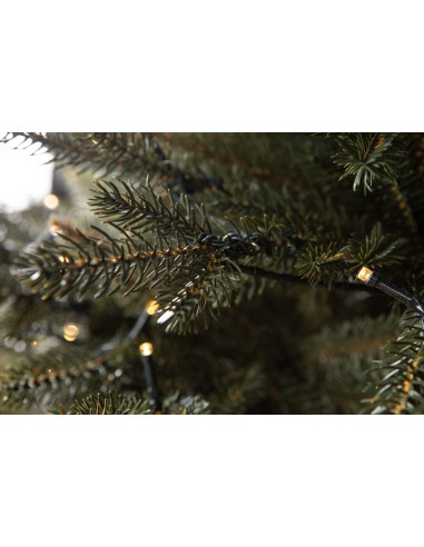 Bonali Prestige LED kuusk