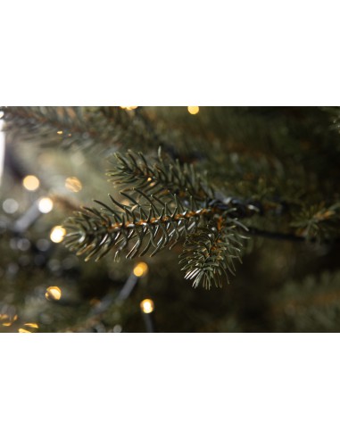 Bonali Prestige LED kuusk