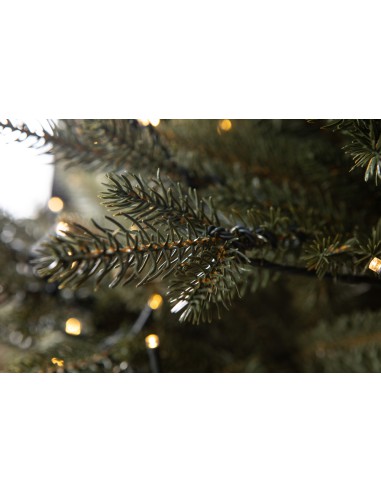 Bonali Prestige LED egles