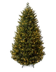 Šviesos diodas Sayra Prestige