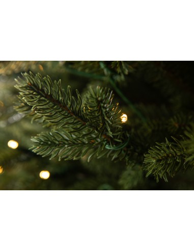 Sayra Prestige LED kuusk