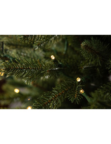 Egle Sayra Prestige LED