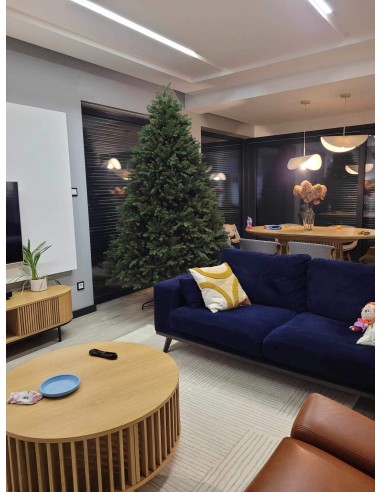 Bonali Prestige egle