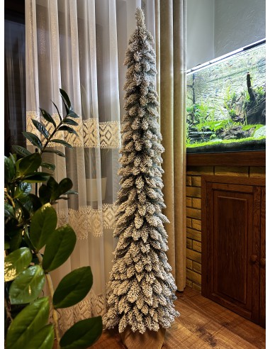 Sniegotais Tatra egle