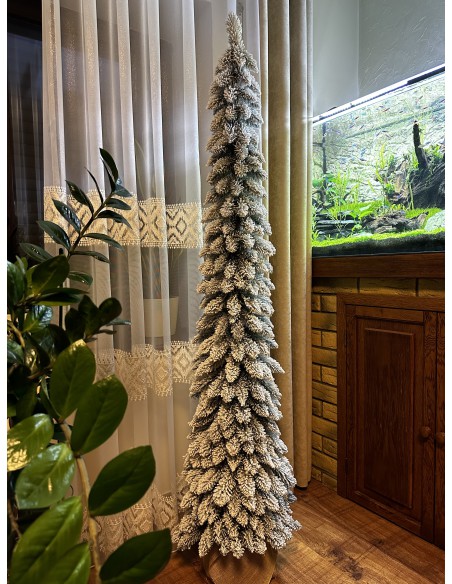 Sniegotais Tatra egle