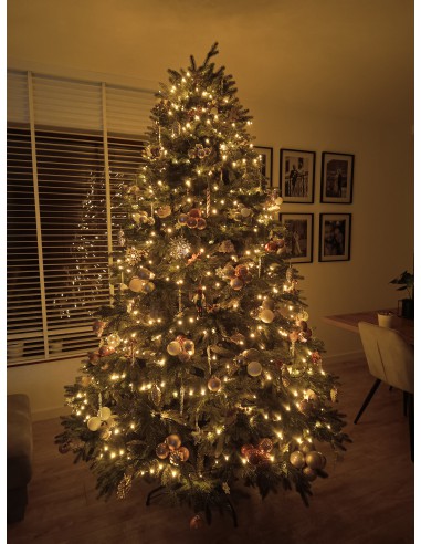 Bonali Prestige kuusk