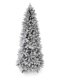 Sniegotais Bonali egle