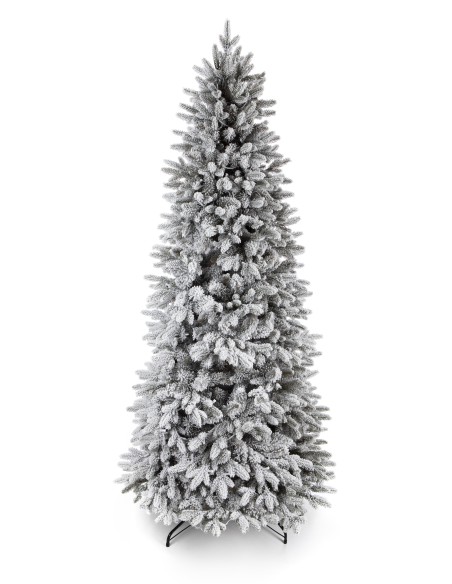 Sniegotais Bonali egle