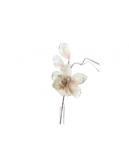 Magnolia ecru
