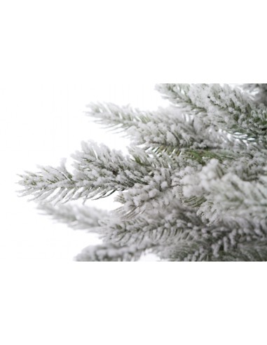 Snieguotas Dialuna pušis