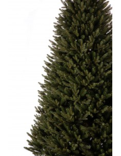 Bonali Prestige eglė 2