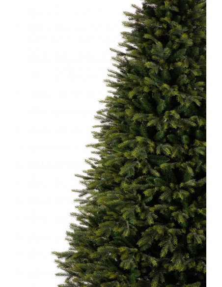 Tesira Prestige egle