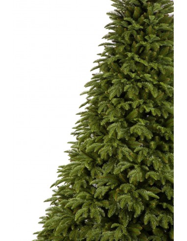 Antares Prestige egle