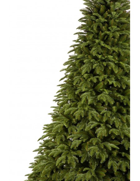 Antares Prestige egle