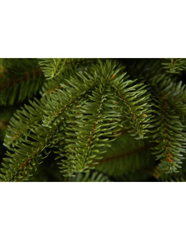 Antares Prestige kuusk