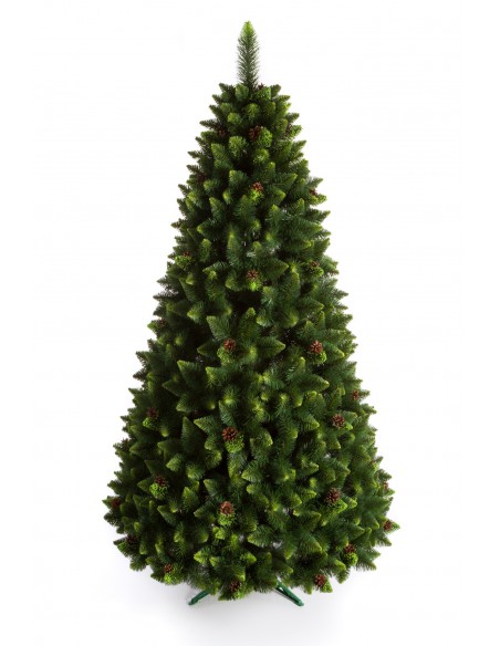 Kelly Latschenkiefer