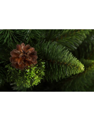 Kelly Latschenkiefer