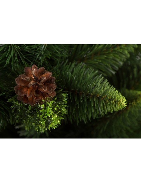 Kelly Latschenkiefer