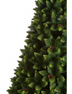 Kelly kalninę pušį 2