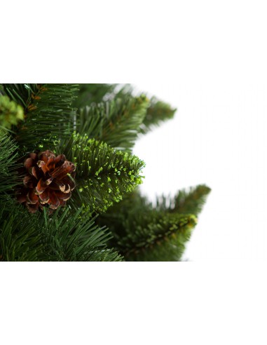 Kelly Latschenkiefer