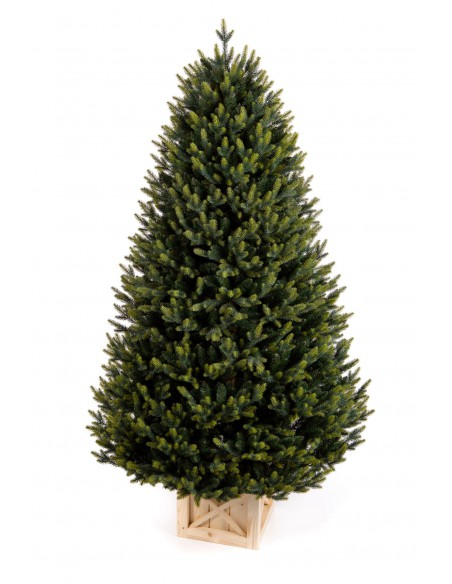 Kuusk Rocheria Luxury 100% PE