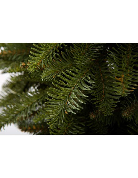 Nobiles eglīte - Antares Box - e-choinki.pl