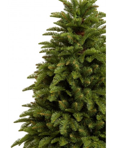 Nobiles eglīte - Antares Box - e-choinki.pl