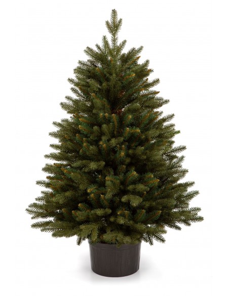 Bonali pušis vazonas