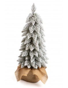 Snieguotas Tatrų eglė 2