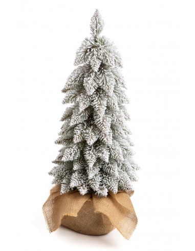 Sniegotais Tatra egle