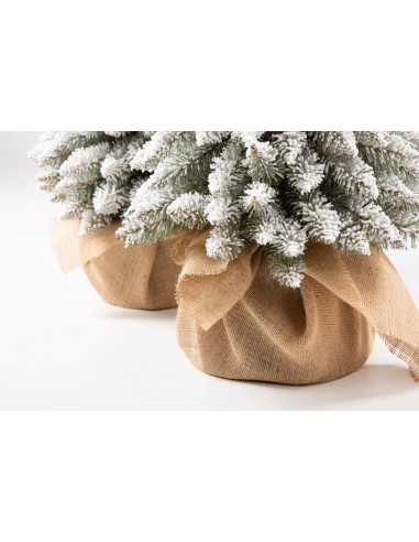 Sniegotais Tatra egle