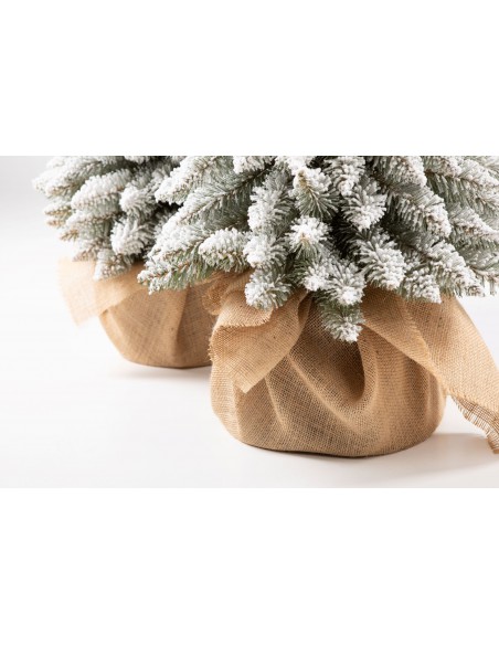 Sniegotais Tatra egle