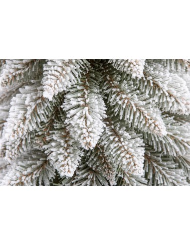 Sniegotais Tatra egle