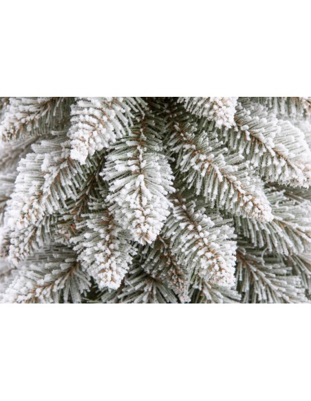 Lumega kaetud Tatra kuusk